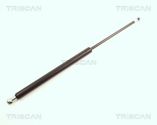 Vérin (Vérin de hayon) Triscan A/S ref. 8710 25209
