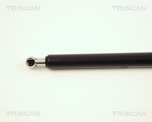 Vérin (Vérin de hayon) Triscan A/S ref. 8710 25209