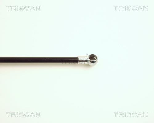 Vérin (Vérin de hayon) Triscan A/S ref. 8710 25209
