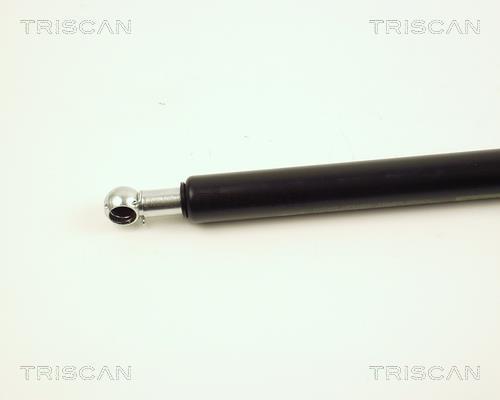 Vérin (Vérin de hayon) Triscan A/S 8710 25211