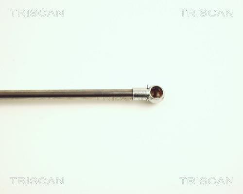 Vérin (Vérin de hayon) Triscan A/S 8710 25211