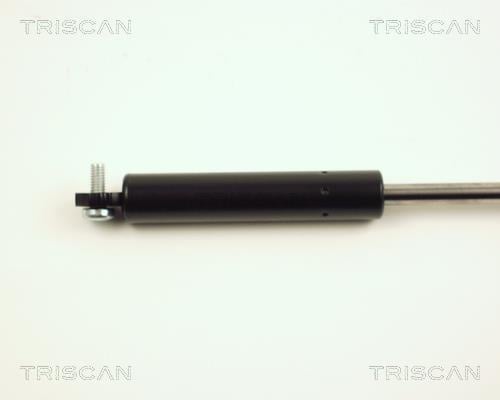 Vérin (Vérin de hayon) Triscan A/S 8710 25212