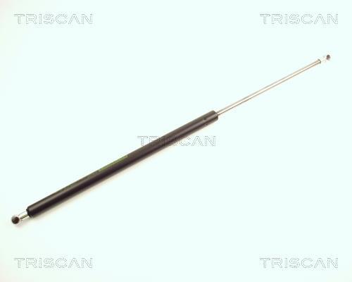 Vérin (Vérin de hayon) Triscan A/S 8710 25214