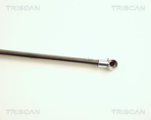 Vérin (Vérin de hayon) Triscan A/S 8710 25214