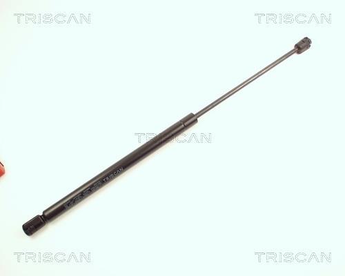 Vérin (Vérin de hayon) Triscan A/S 8710 25215