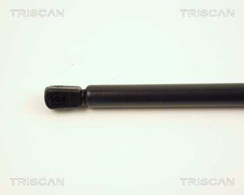 Vérin (Vérin de hayon) Triscan A/S 8710 25215
