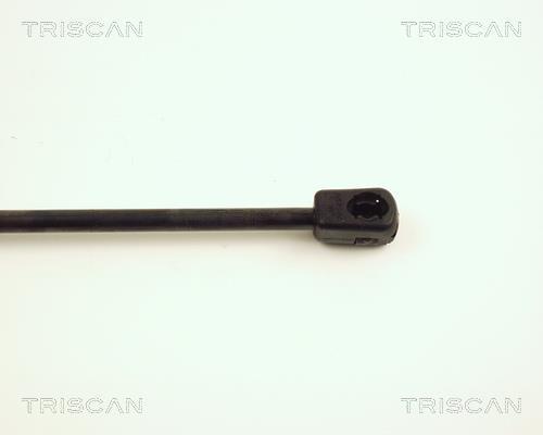 Vérin (Vérin de hayon) Triscan A/S 8710 25215