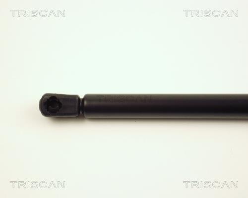 Vérin (Vérin de hayon) Triscan A/S 8710 25216