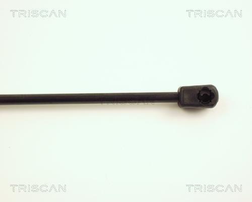 Vérin (Vérin de hayon) Triscan A/S 8710 25216
