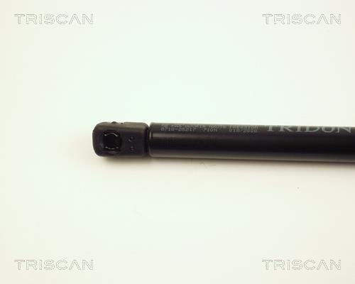 Vérin (Vérin de hayon) Triscan A/S 8710 25217