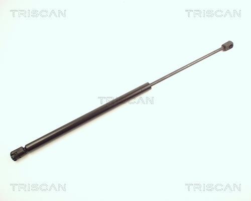 Vérin (Vérin de hayon) Triscan A/S 8710 25218