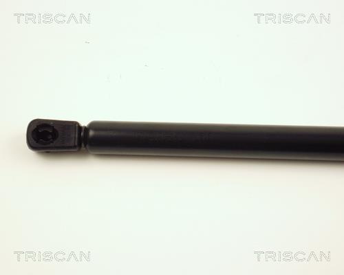 Vérin (Vérin de hayon) Triscan A/S 8710 25218