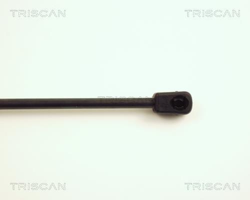 Vérin (Vérin de hayon) Triscan A/S 8710 25218