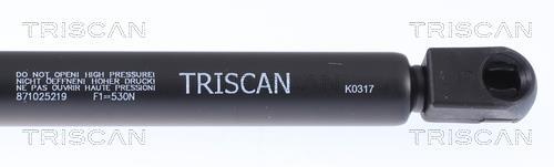 Vérin (Vérin de hayon) Triscan A/S 8710 25219