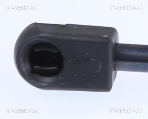 Vérin (Vérin de hayon) Triscan A/S 8710 25219