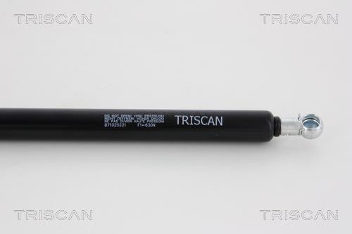 Muelle neumático Triscan A/S ref. 8710 25221