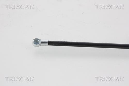 Muelle neumático Triscan A/S ref. 8710 25221