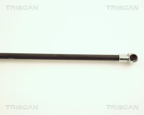 Vérin (Vérin de hayon) Triscan A/S ref. 8710 25222