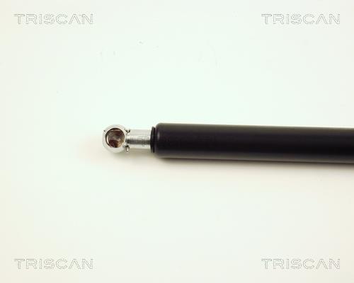 Vérin (Vérin de hayon) Triscan A/S 8710 25223