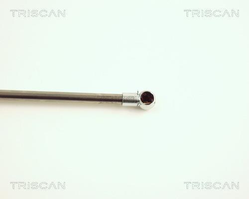 Vérin (Vérin de hayon) Triscan A/S 8710 25223