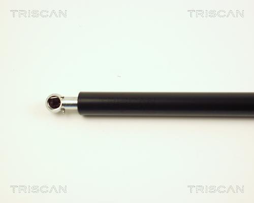 Vérin (Vérin de hayon) Triscan A/S 8710 25225