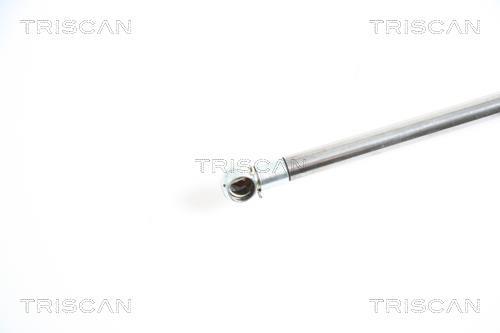 Vérin (Vérin de hayon) Triscan A/S 8710 25227