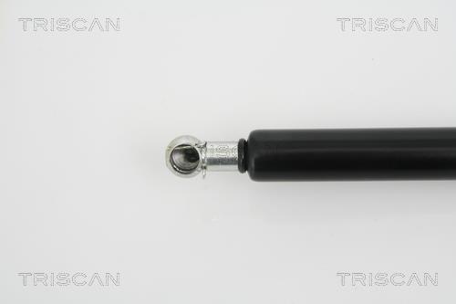 Vérin (Vérin de hayon) Triscan A/S 8710 25228