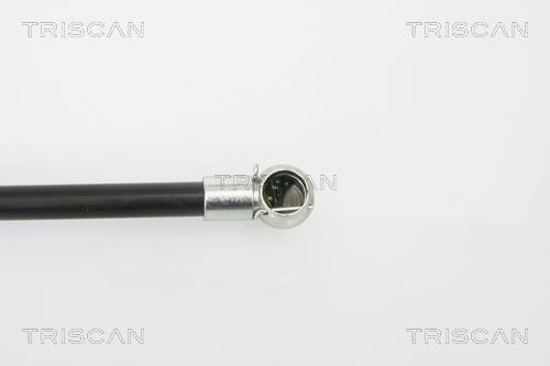Vérin (Vérin de hayon) Triscan A/S 8710 25228