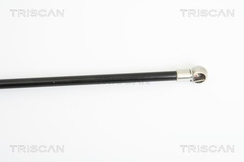 Vérin (Vérin de hayon) Triscan A/S ref. 8710 25229