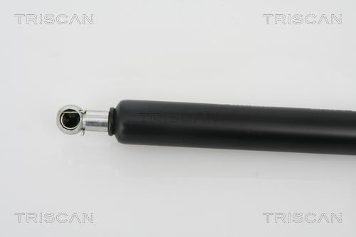 Vérin (Vérin de hayon) Triscan A/S 8710 25230