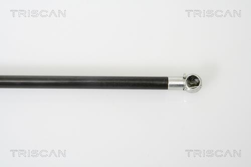Vérin (Vérin de hayon) Triscan A/S 8710 25230