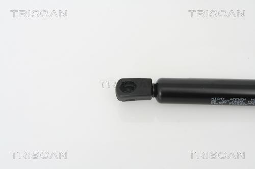 Vérin (Vérin de hayon) Triscan A/S 8710 25232