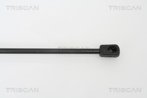 Vérin (Vérin de hayon) Triscan A/S 8710 25232