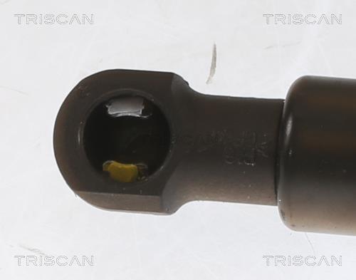 Vérin (Vérin de hayon) Triscan A/S ref. 8710 25233