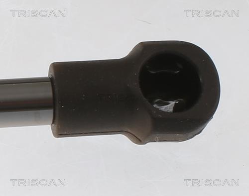 Vérin (Vérin de hayon) Triscan A/S ref. 8710 25233