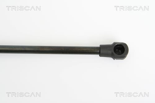 Vérin (Vérin de hayon) Triscan A/S ref. 8710 25234