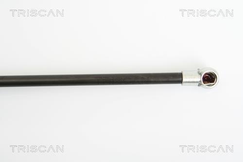 Muelle neumático Triscan A/S 8710 25236
