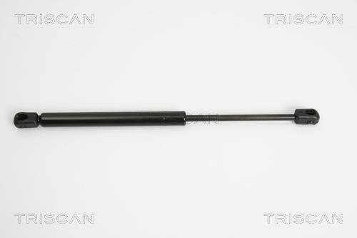Muelle neumático Triscan A/S 8710 25237