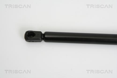 Muelle neumático Triscan A/S 8710 25237