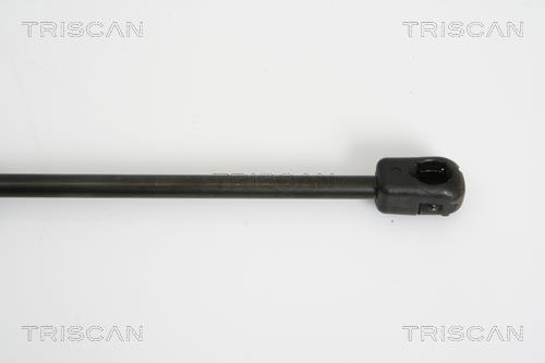 Muelle neumático Triscan A/S 8710 25237