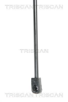 Vérin (Vérin de hayon) Triscan A/S ref. 8710 25238