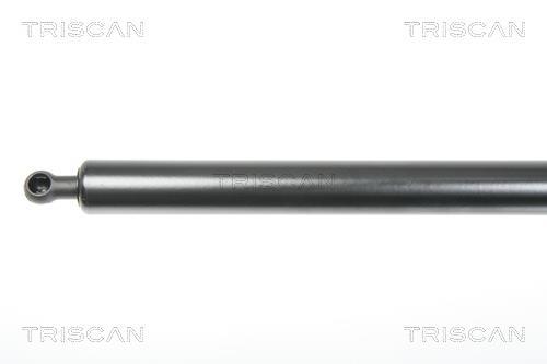 Vérin (Vérin de hayon) Triscan A/S 8710 25240