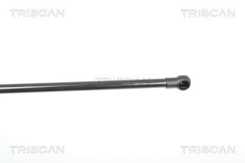 Vérin (Vérin de hayon) Triscan A/S 8710 25240