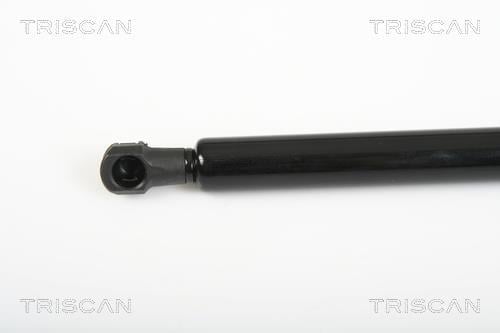 Vérin (Vérin de hayon) Triscan A/S ref. 8710 25241