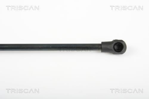 Vérin (Vérin de hayon) Triscan A/S ref. 8710 25241