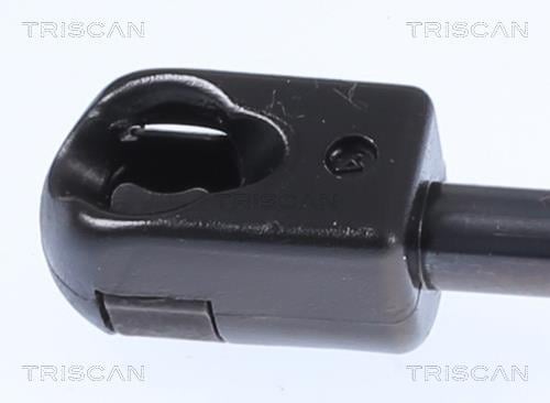 Vérin (Vérin de hayon) Triscan A/S ref. 8710 25242