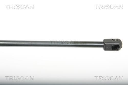 Cilindro Triscan A/S 8710 25243