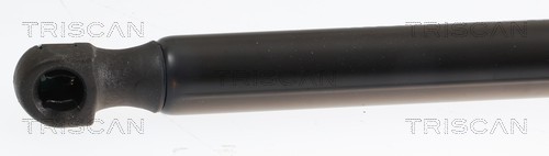 Cilindro Triscan A/S 8710 25243