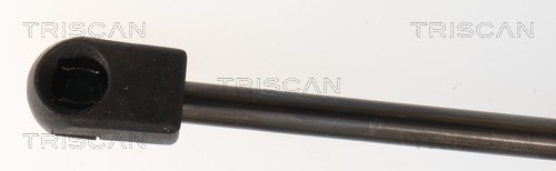 Cilindro Triscan A/S 8710 25243