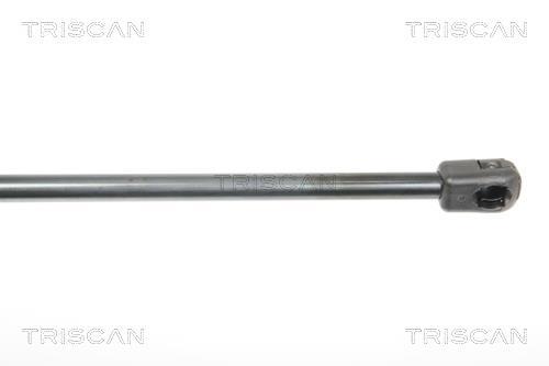 Muelle neumático Triscan A/S ref. 8710 25244